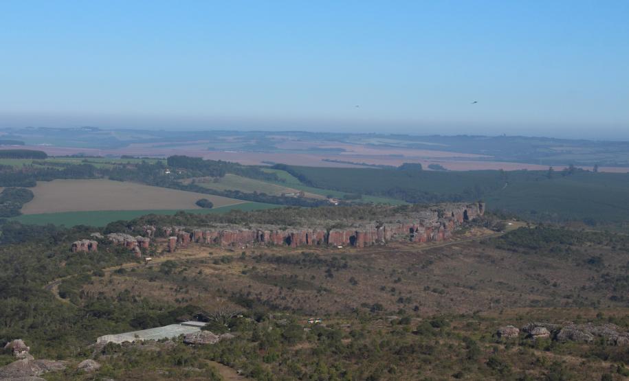 Varredura contra proliferação de espécies exóticas já ultrapassou a metade da área de Vila Velha