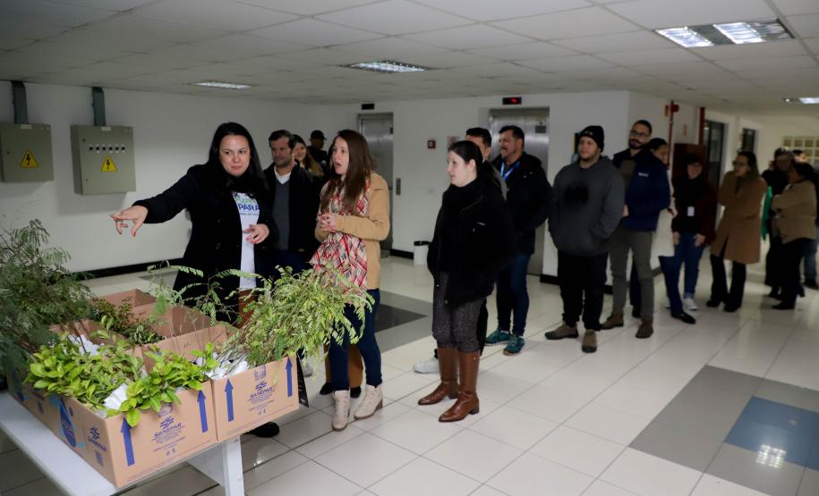 Fila para recepção de mudas