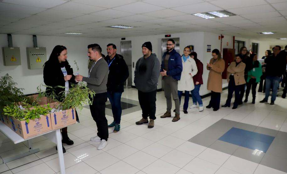 Fila para recepção de mudas