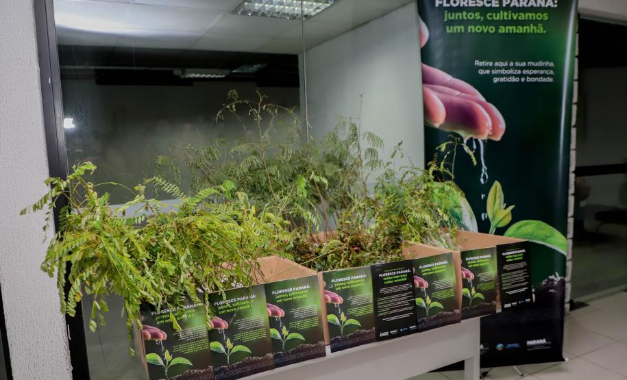 Estande para recepção de mudas do "Paraná Florescer"