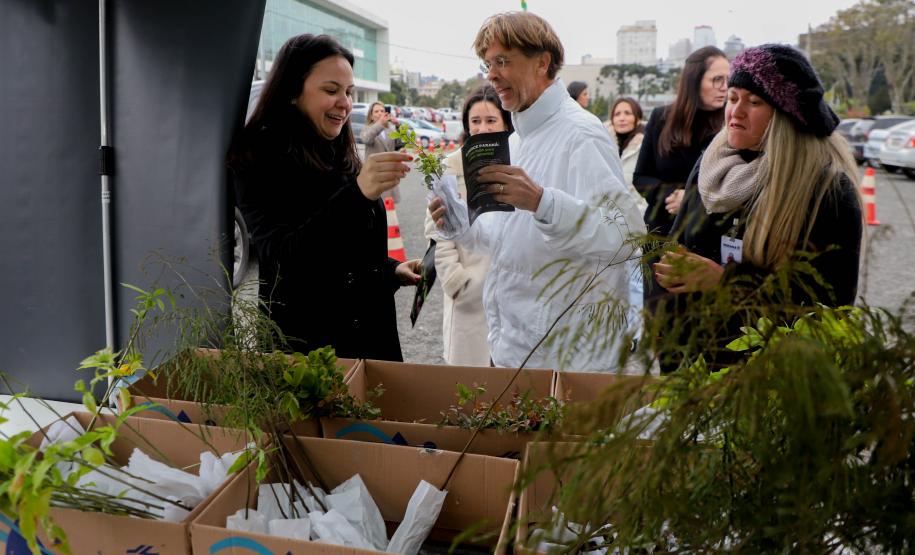 Representante do IAT explicando sobre as mudas para três civis