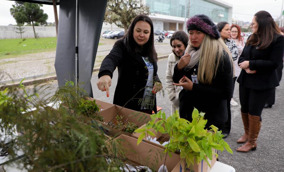 Representante do IAT explicando sobre as mudas para três civis