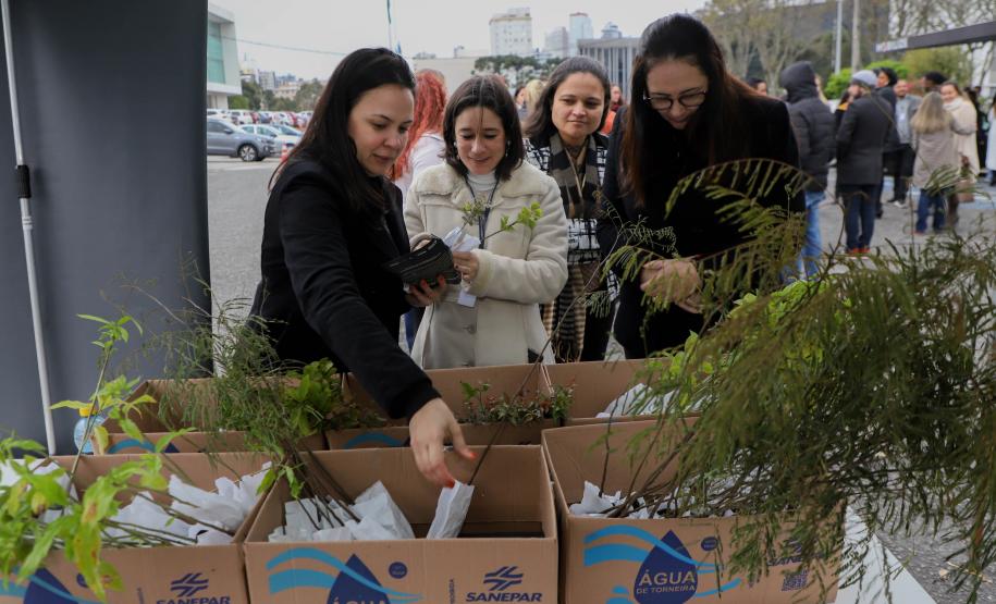 Representante do IAT explicando sobre as mudas para três civis