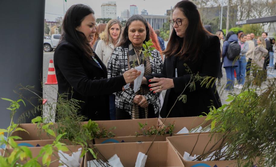 Representante do IAT explicando sobre as mudas para três civis