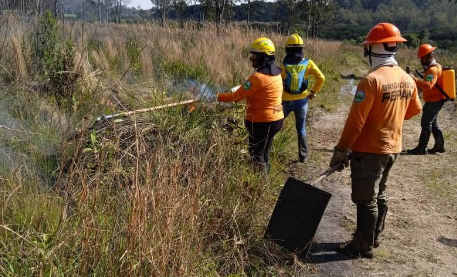 Brigadistas indígenas ajudam a conservar o patrimônio natural do Paraná