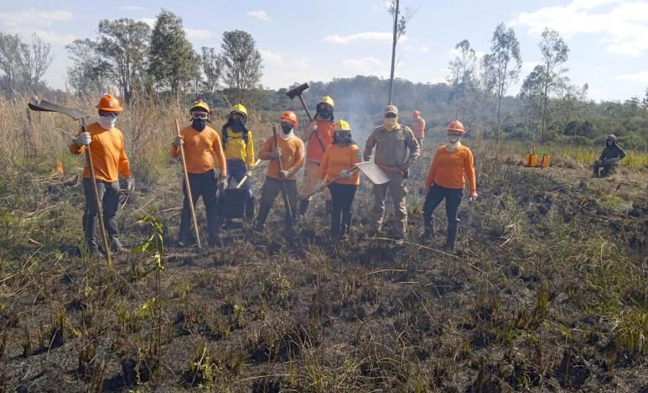 Brigadistas indígenas ajudam a conservar o patrimônio natural do Paraná