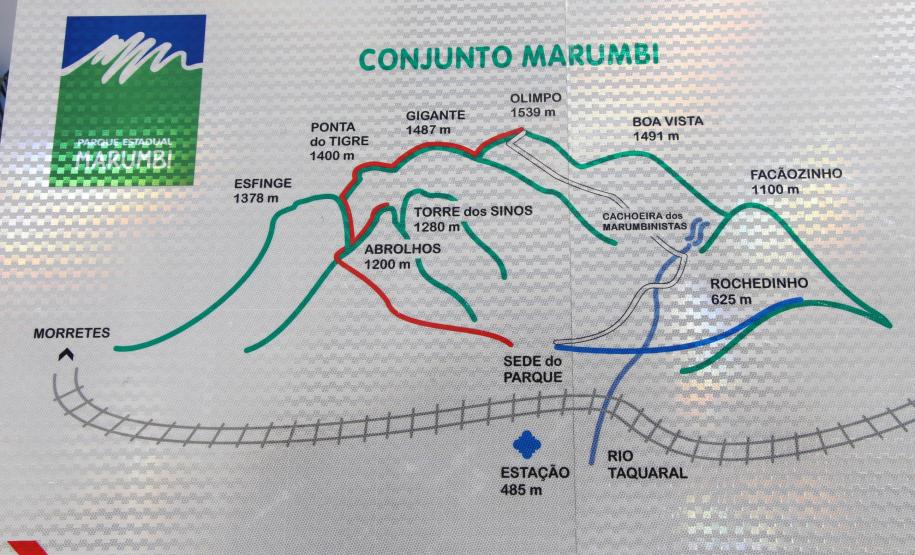 Dia do Voluntariado: IAT disponibiliza três programas para quem quer ajudar a cuidar do meio ambiente