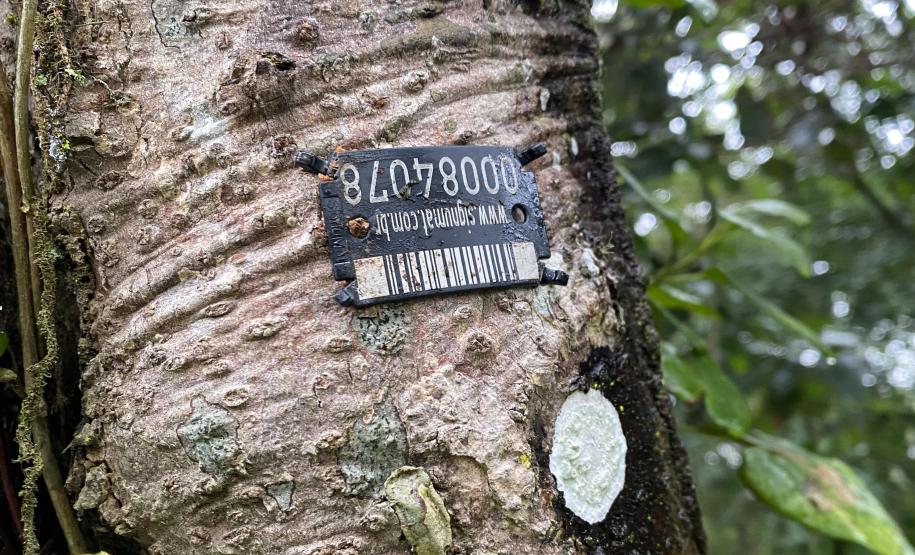 Foto de placa de registro em árvore