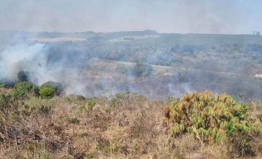Foto de queimada controlada