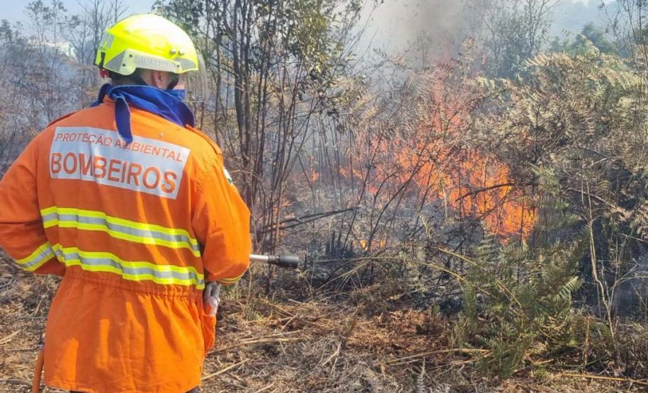 Foto de queimada controlada