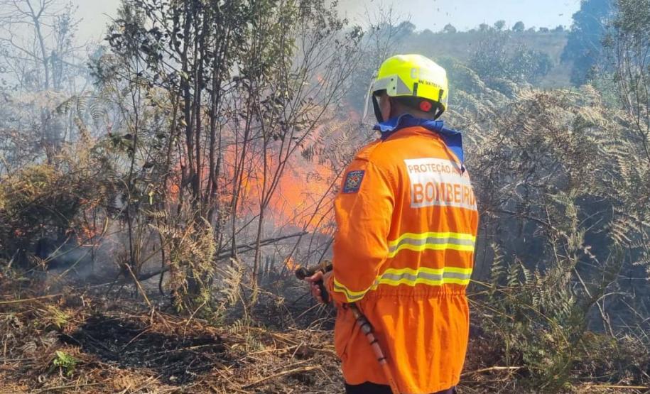 Foto de queimada controlada