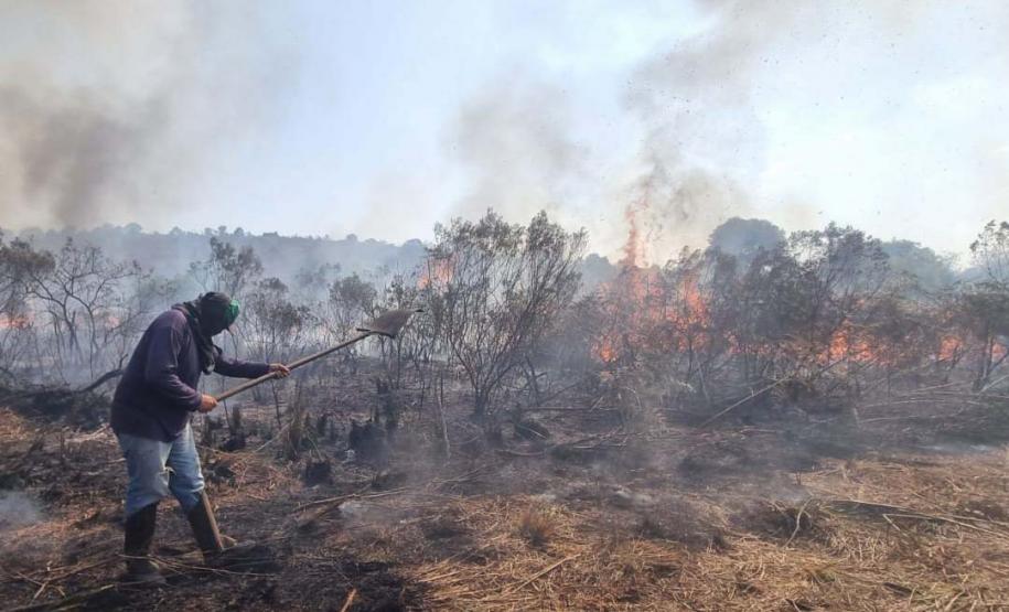 Foto de queimada controlada