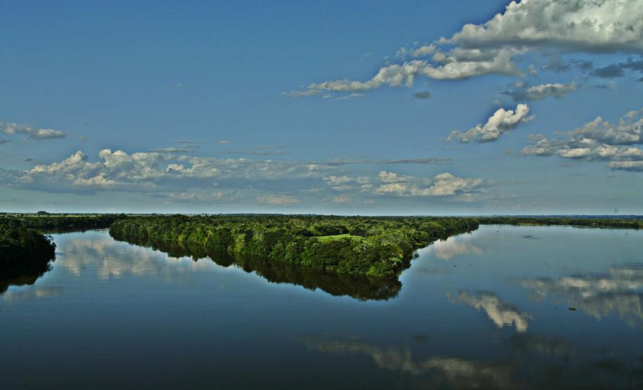 Rio situado na mata atlântica