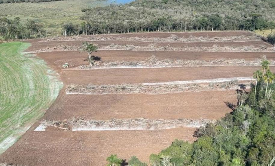 Foto de área desmatada