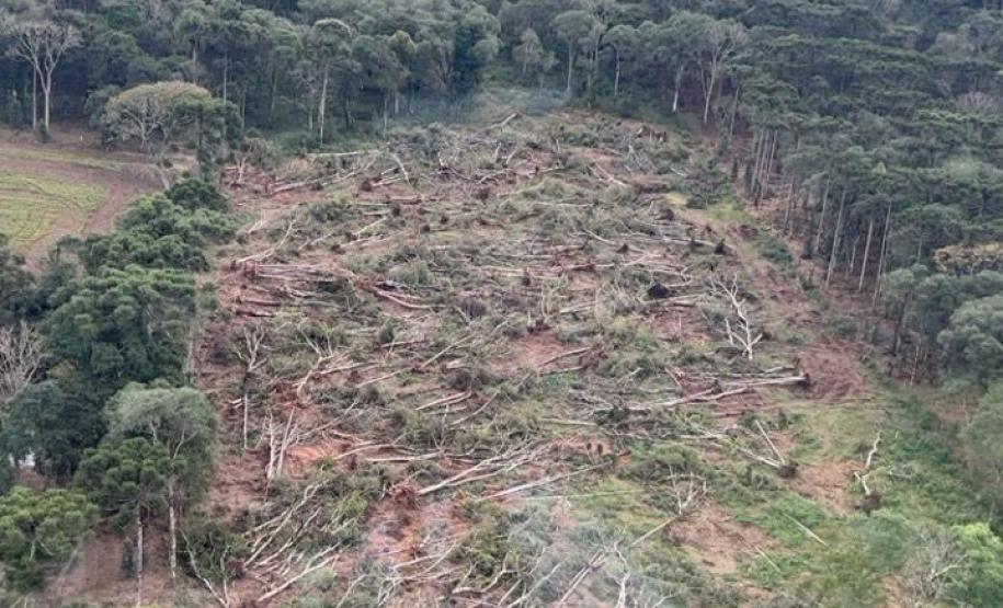 Foto de área desmatada