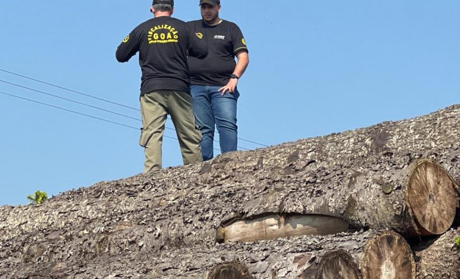 Foto de fiscais sobre área desmatada