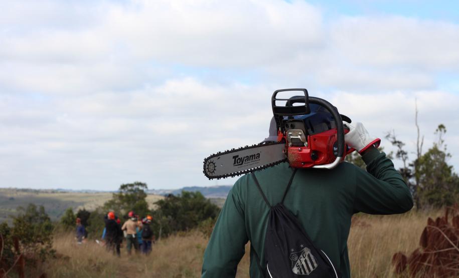 Dia do Voluntariado: IAT disponibiliza três programas para quem quer ajudar a cuidar do meio ambiente
