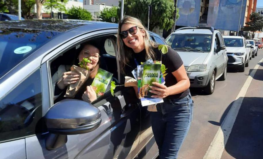 Representante do IAT entregando mudas a um civil em seu carro.