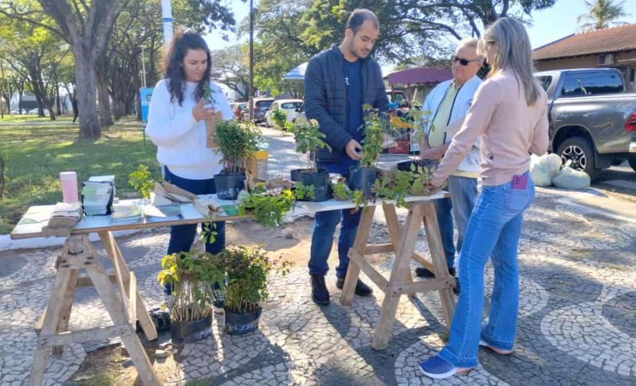 Estande com dois representantes do IAT distribuindo mudas.