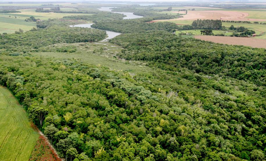 Plano geral com abundância de árvores e vegetação