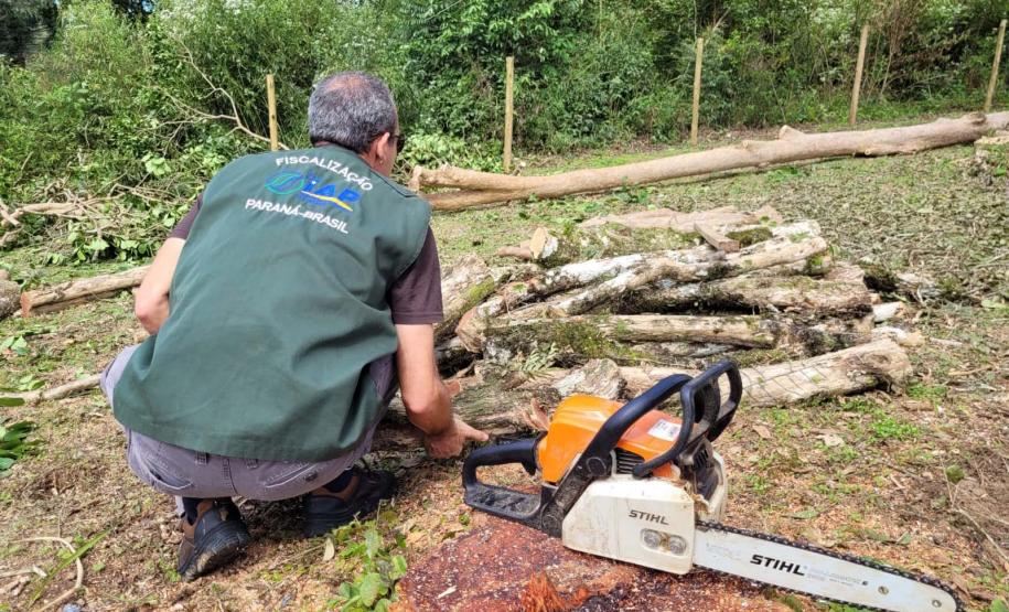 Sétima edição da Operação Mata Atlântica pretende vistoriar cerca de 1 mil hectares no Paraná.