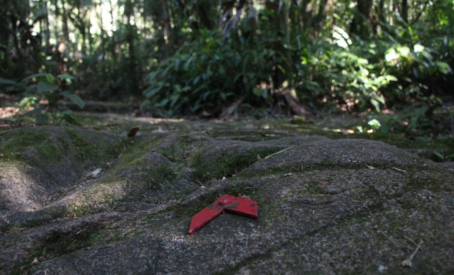 As 28 Unidades de Conservação do Paraná abertas à visitação possuem trilhas como um dos principais atrativos naturais.