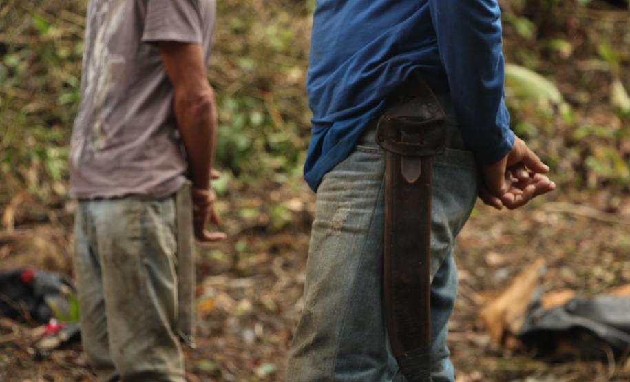 Sétima edição da Operação Mata Atlântica pretende vistoriar cerca de 1 mil hectares no Paraná.