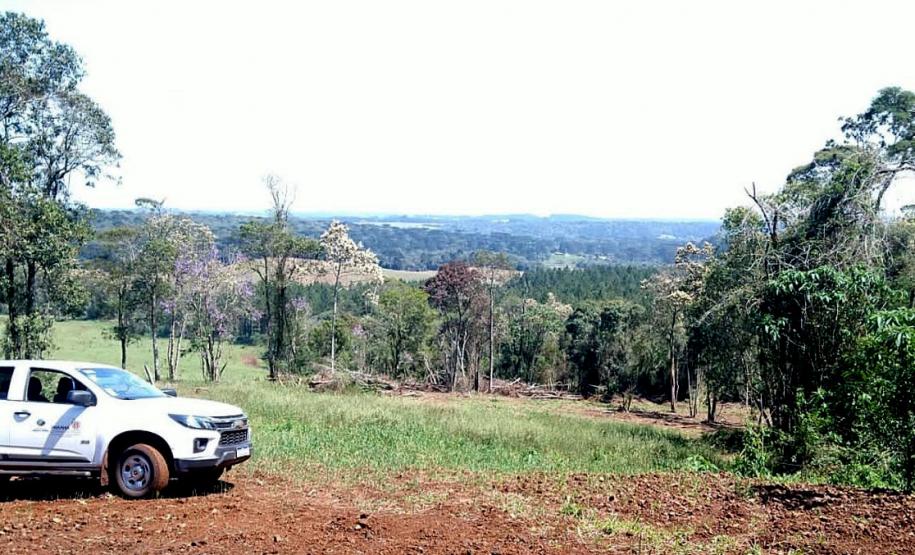 Foto da operação Mata Atlântica