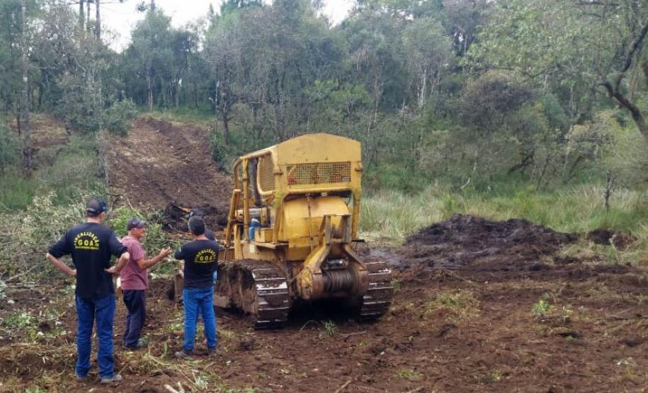 Foto da operação Mata Atlântica