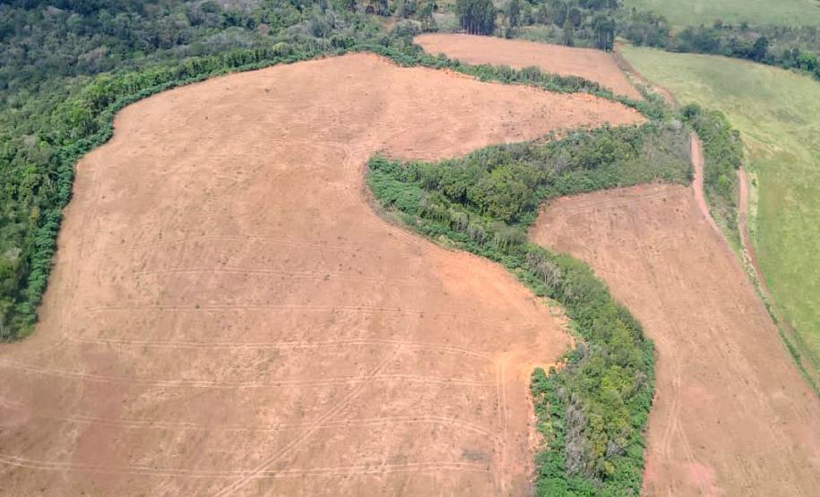 Foto da operação Mata Atlântica