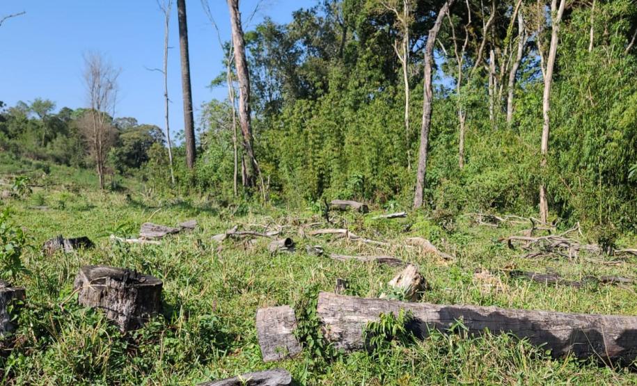 Foto da operação Mata Atlântica