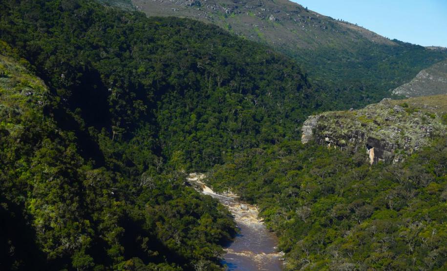 Rio passando por entre o relevo e a vegetação do Parque Estadual do Guartelá