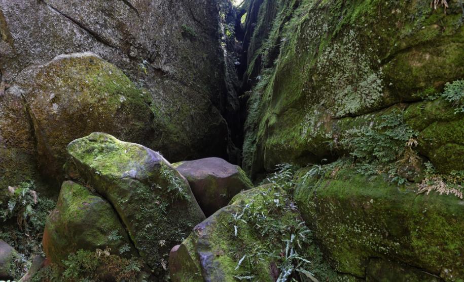 Rochas do Parque Estadual do Guartelá