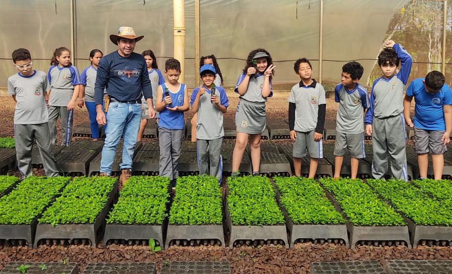 Crianças frente a grupos de mudas