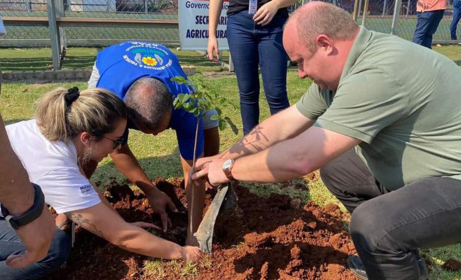 Técnicos dos viveiros plantando