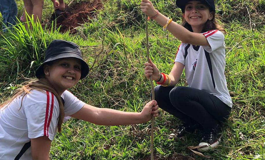 Duas crianças segurando uma muda recém plantada