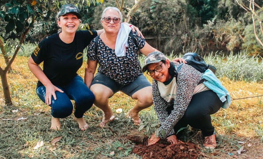 Três técnicos do IAT plantando uma muda