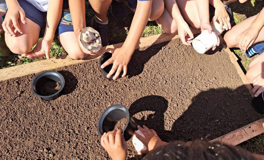 Close nas mãos de crianças plantando