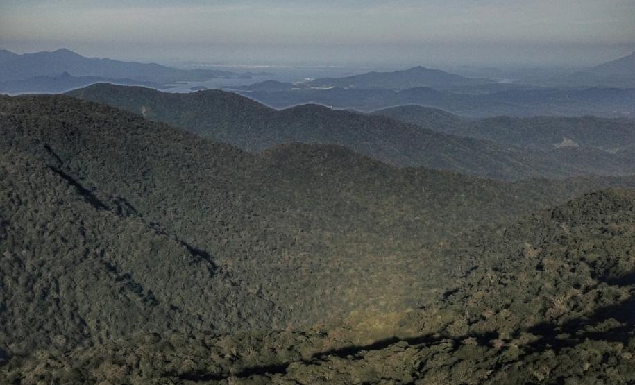 Com áreas verdes, 98 cidades do Paraná têm grande controle sobre emissões de carbono