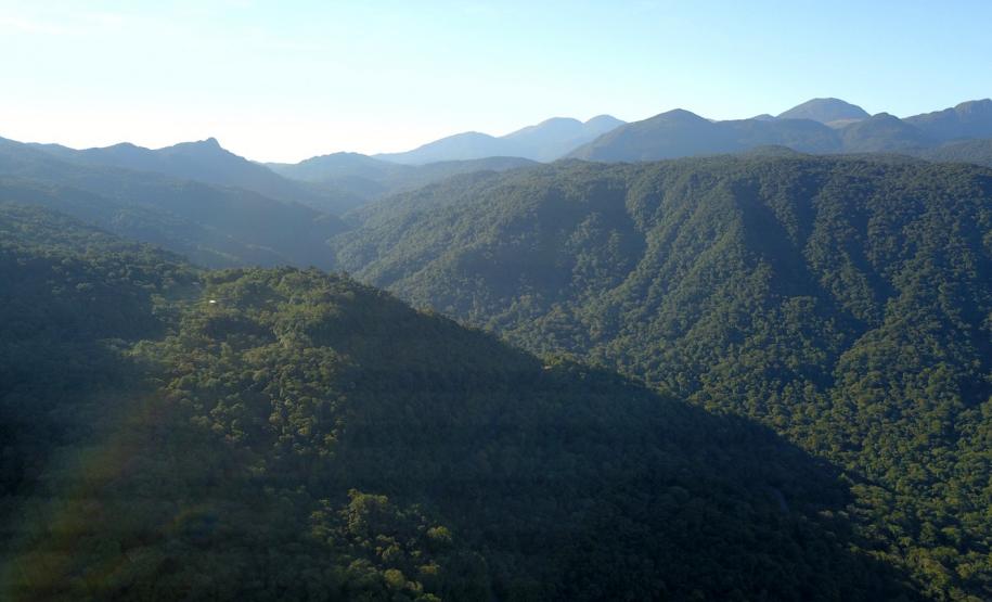 Com áreas verdes, 98 cidades do Paraná têm grande controle sobre emissões de carbono