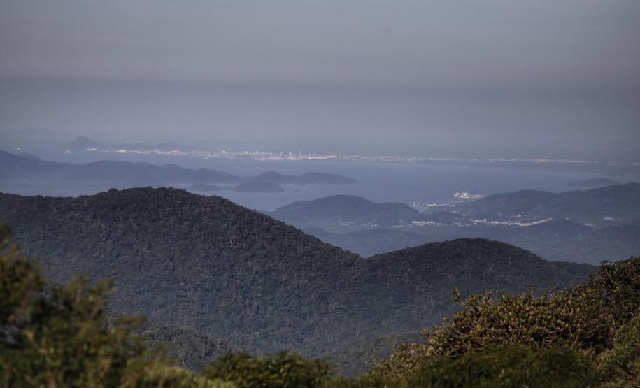 Com áreas verdes, 98 cidades do Paraná têm grande controle sobre emissões de carbono
