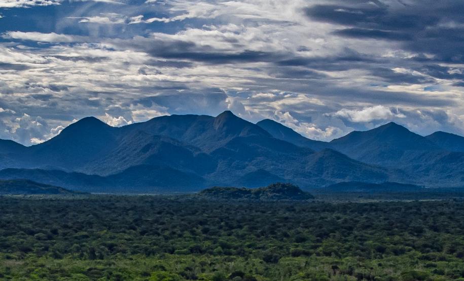 Com áreas verdes, 98 cidades do Paraná têm grande controle sobre emissões de carbono