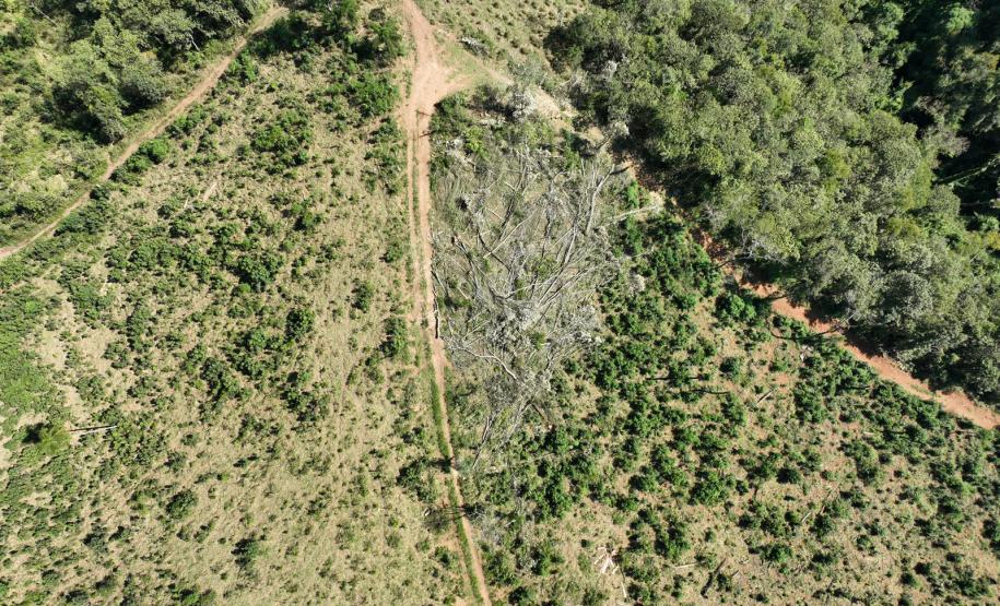 Técnicos do IAT estão passando pelo período de treinamento com a nova ferramenta Rede MAIS