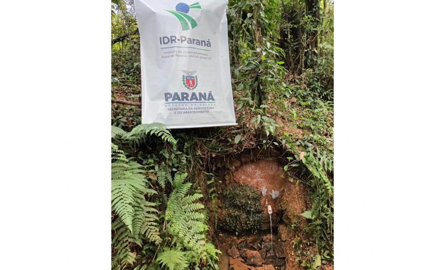 Foto de nascente protegida