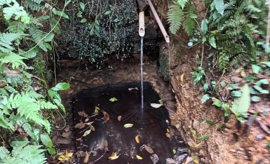 Foto de nascente protegida