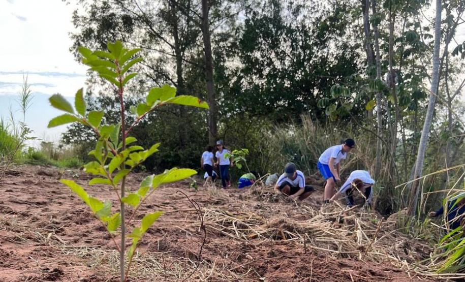 Foto de equipe protegendo nascente