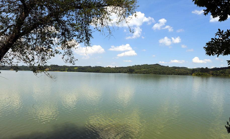 Rio atrás de árvores