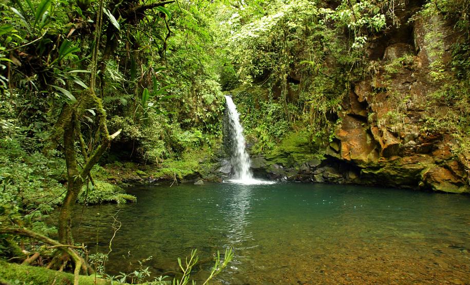 Pequena cachoeira situada em meio a vegetação paranaense