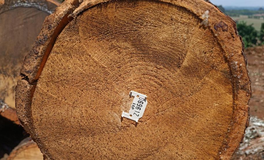 Foto de carga apreendida em operação