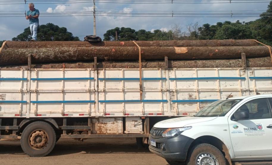 Foto de carga apreendida em operação